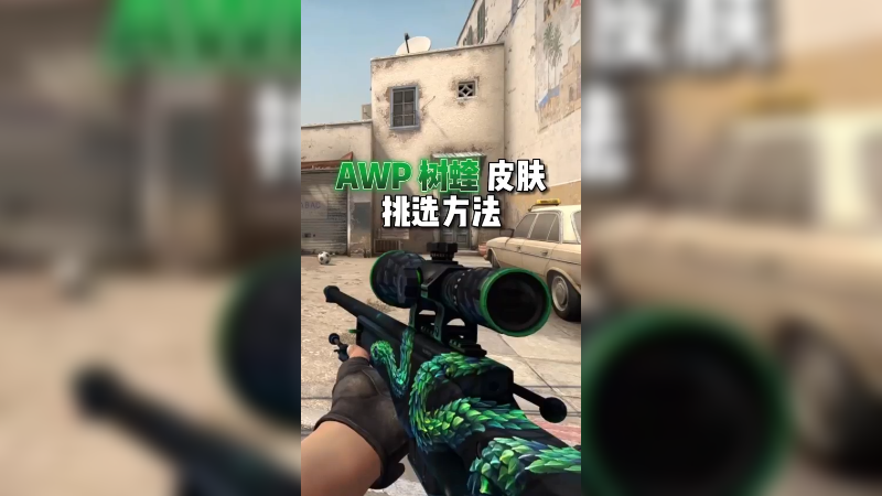 AWP 树蝰 皮肤挑选方法