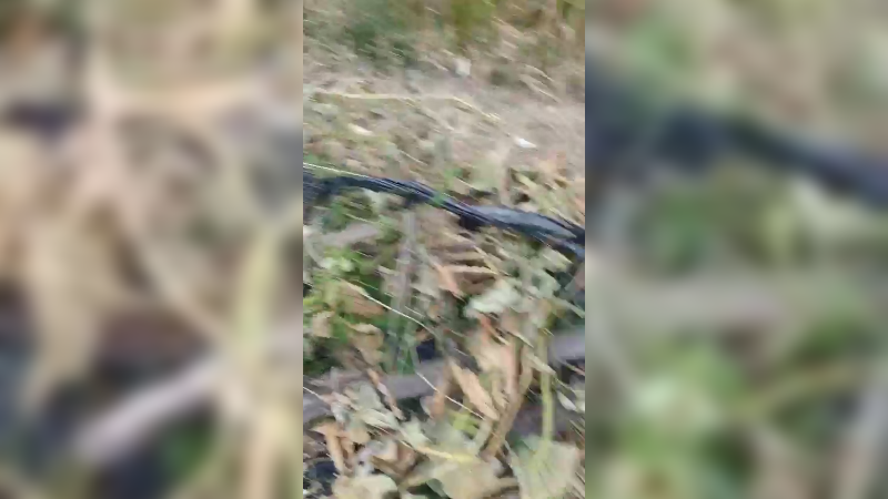田间搞笑