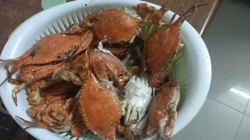 吃螃蟹了喂