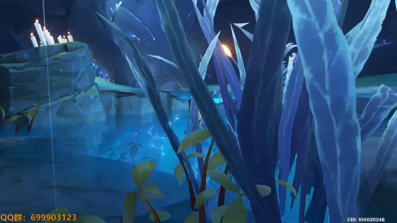 【2022-11-07 17点场】AllenCode：原神 须弥探索