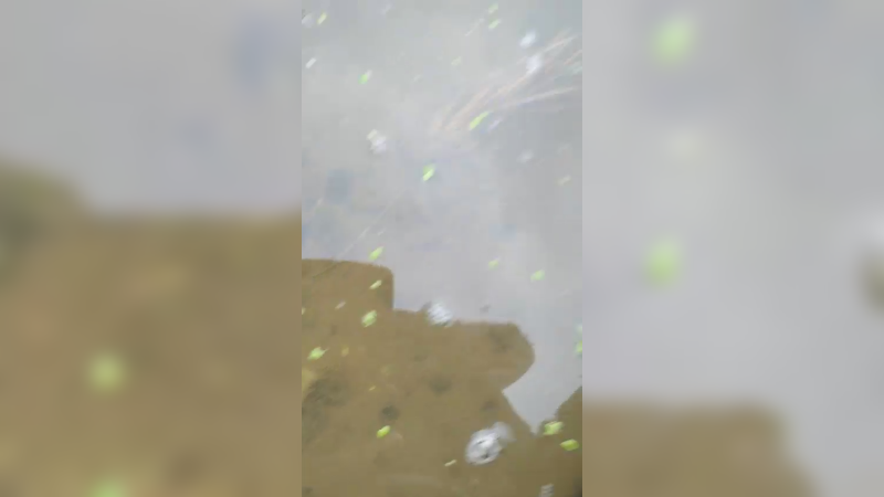 田间搞笑