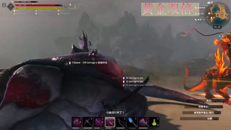 【2022-11-06 23点场】晴晴跑不动：冬天来咯～