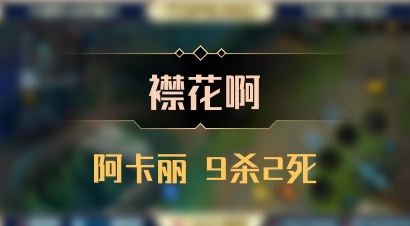 【襟花啊】阿卡丽 9杀2死