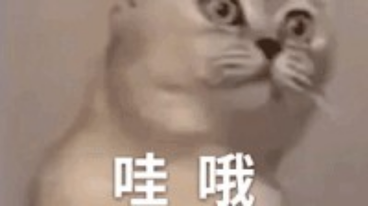 日常