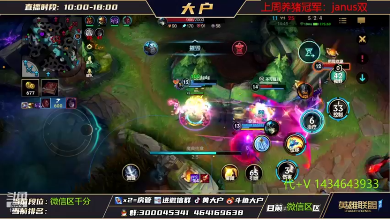 【2022-11-03 13点场】大户呀：猫猫专场！人丛中取敌将首级