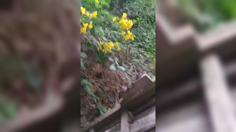 田间搞笑