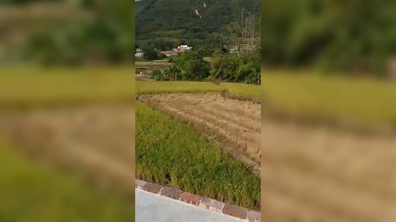 田间搞笑