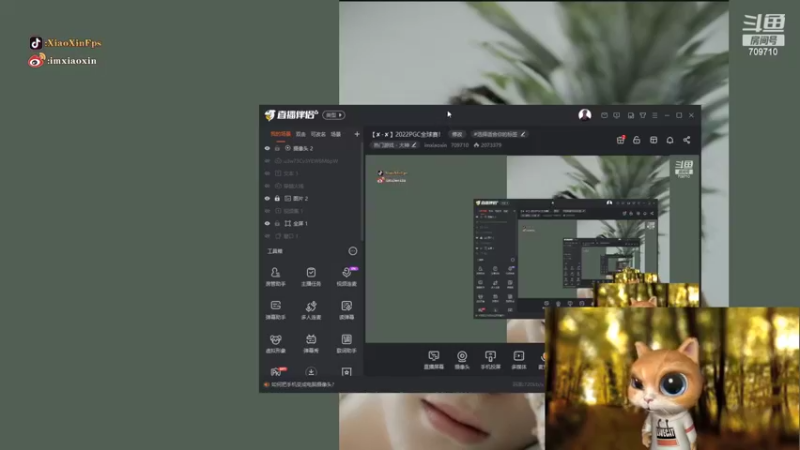 【2022-11-07 17点场】imxiaoxin：【✘-✘】2022PGC全球赛！
