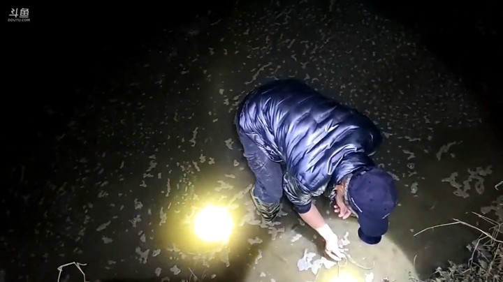 户外抓黄鳝还是没那么容易的
