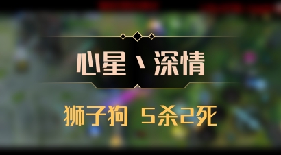 【心星丶深情】狮子狗 5杀2死