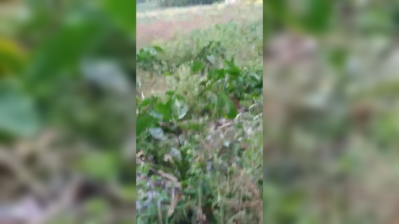 3窝窝日常