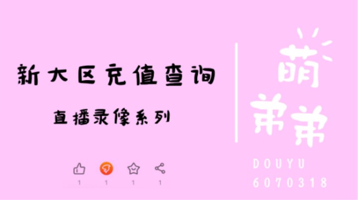 新大区充值查询