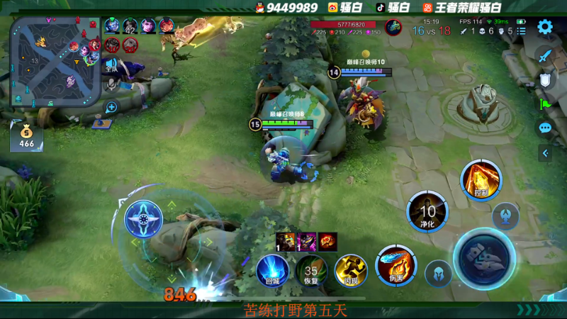 我在斗鱼看骚白直播王者荣耀