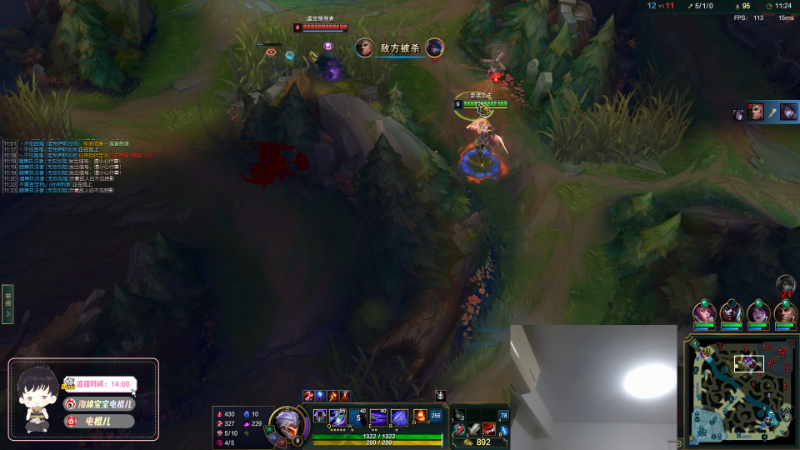 我在斗鱼看电棍直播英雄联盟