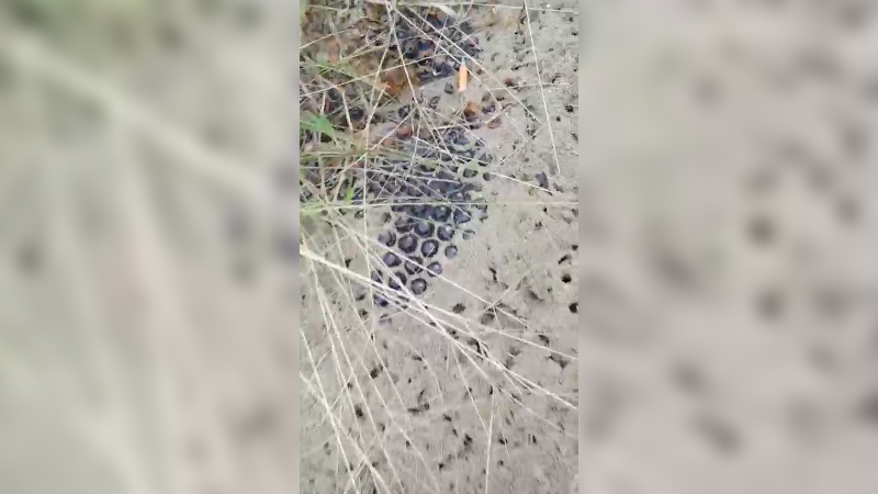 2窝窝日常