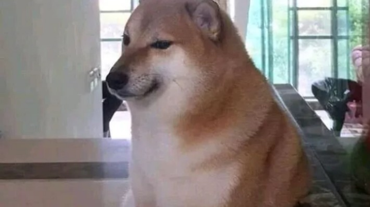 木有
