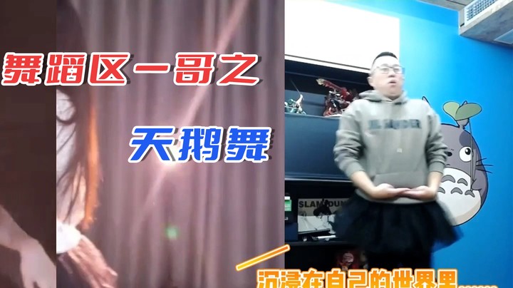 【主播小剧场】大龙猫_舞蹈区一哥之天鹅舞