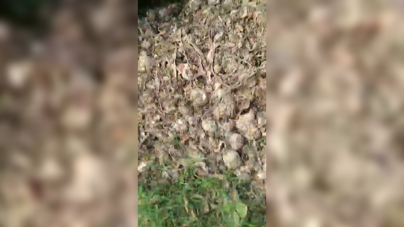 隔壁村走走