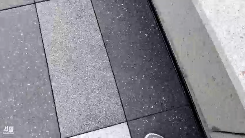 【2022-11-09 14点场】DYG萧玦：给臭猫送猫粮