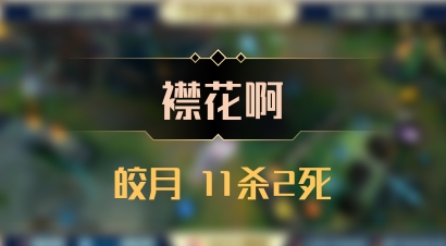 【襟花啊】皎月 11杀2死
