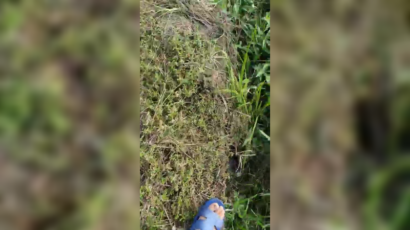 隔壁村走走008
