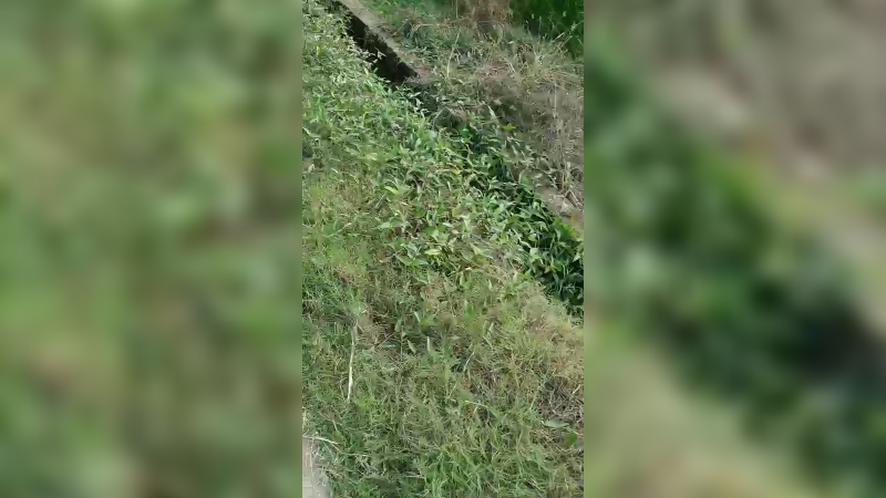 隔壁村走走