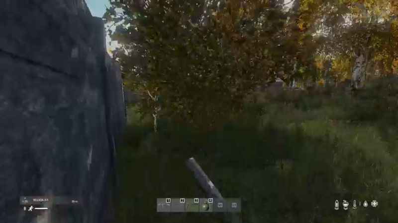 【2022-11-09 15点场】dayz韩爱东西：老韩带你们发东南西北旋风财