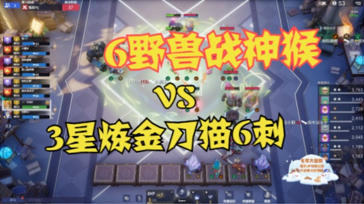 6野兽  VS  3星炼金火猫基拉6刺