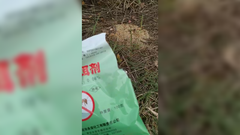 灭蚂蚁232
