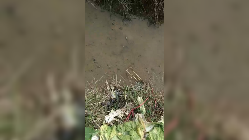 隔壁村走走