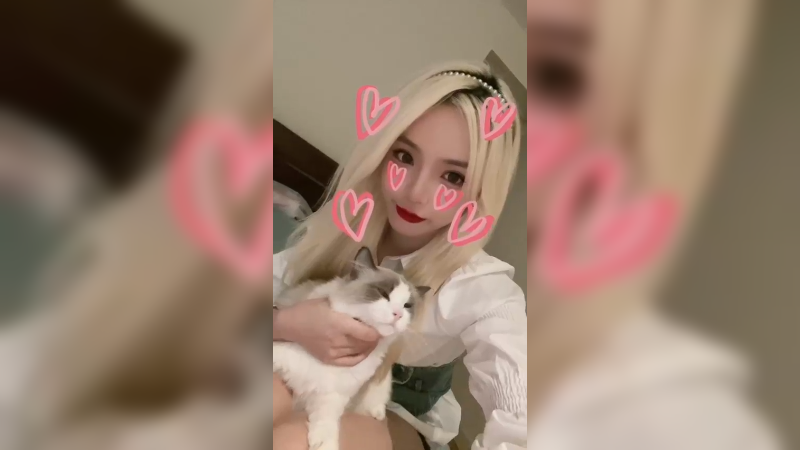 纪念法拉利第一次入镜