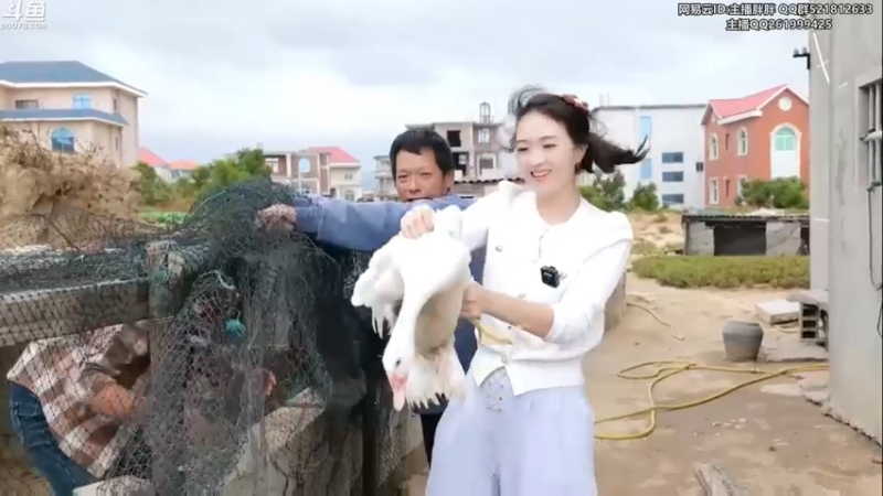 【2022-11-09 03点场】胖胖灬：胖胖OB：DRX强，S13赛季转会期了