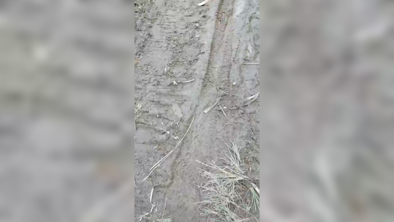 隔壁村走走