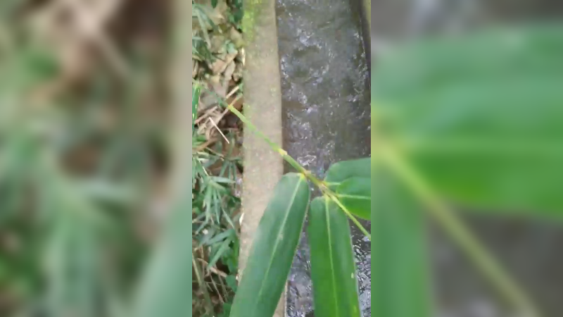 隔壁村走走
