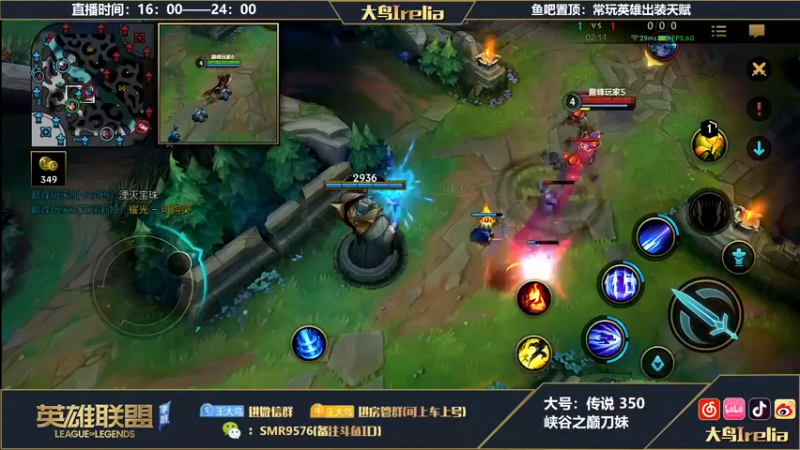 【2022-11-08 22点场】大鸟Irelia：大鸟：中单永恩刀妹