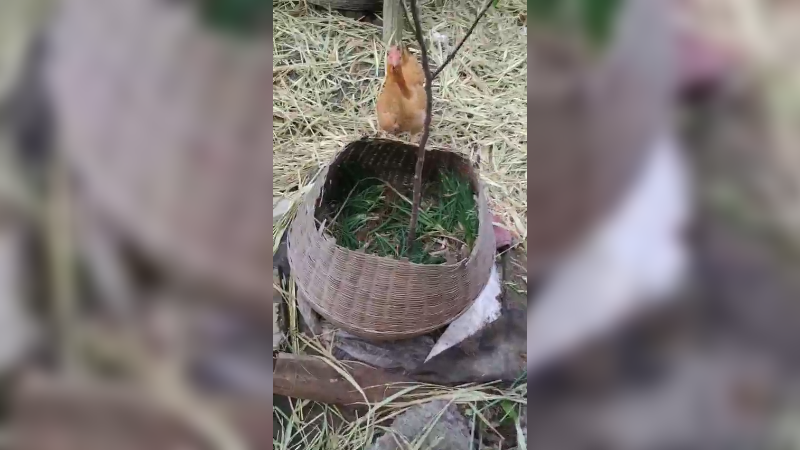 隔壁村走走