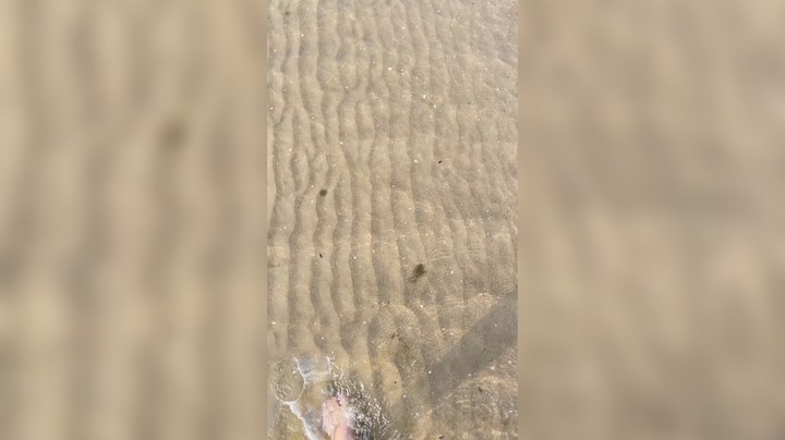 漫步佳人
