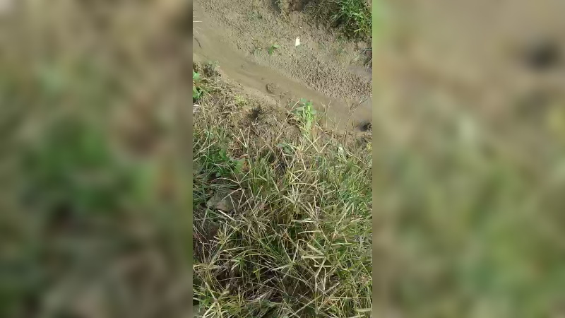 隔壁村走走