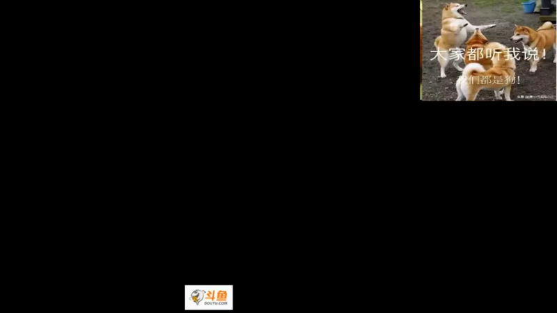【2022-11-08 20点场】安徽东京re：憧憬传媒独家冠名！！118523