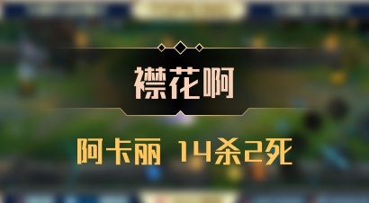 【襟花啊】阿卡丽 14杀2死