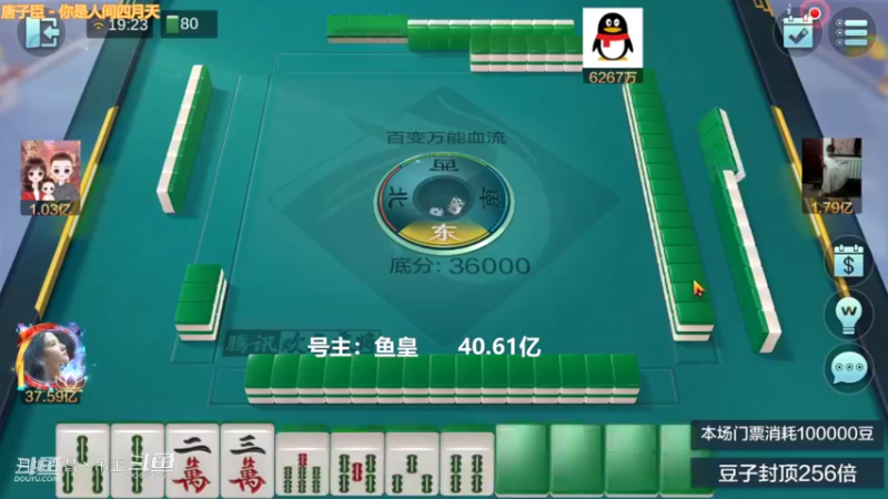 百变万能，8连败了，终于见着回头钱了