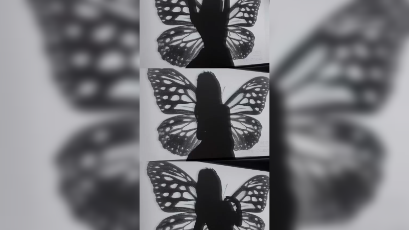 【叶知秋】有冬要来 有雪入怀