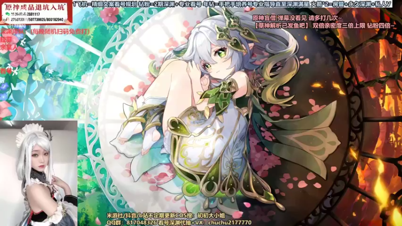 【2022-11-07 10点场】初初大小姐：【草神看号配队精细规划】双倍