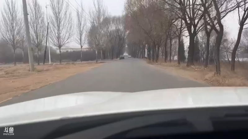 【2022-11-10 14点场】黑欢喜：心情不好，散散心。