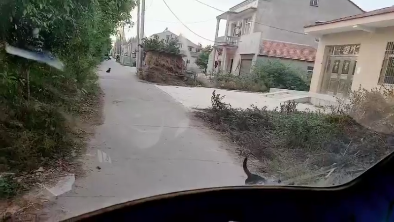 【2022-11-10 16点场】洪湖小肖：这是一个开心的夜晚