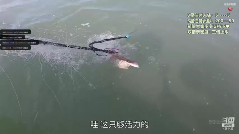 【2022-11-07 21点场】迷人的卿姐姐i：欢乐的时光开始啦·❤