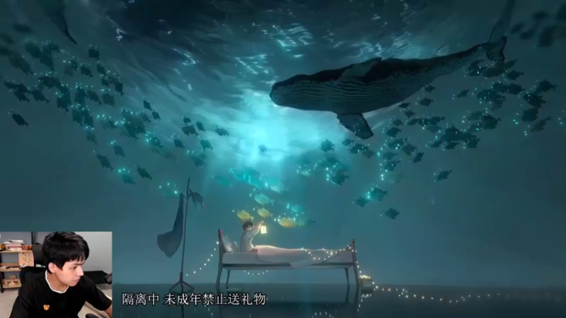 【2022-11-11 18点场】a九日i999：九日：王者荣耀