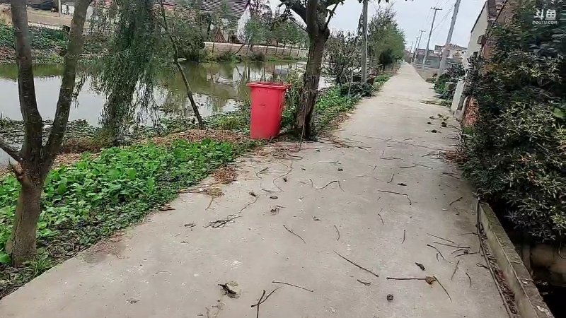 【户外】微山湖捕鱼武工队的精彩时刻 20221111 10点场