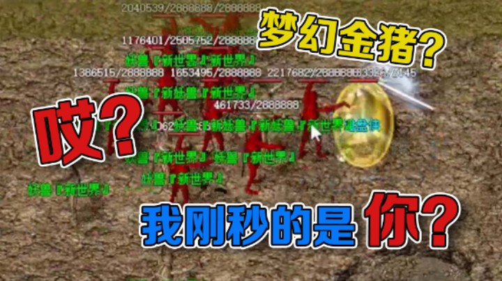 【雨神丶】一个手滑，又伤到自己人了！