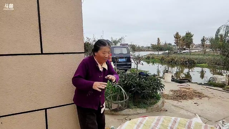 【户外】微山湖捕鱼武工队的精彩时刻 20221111 10点场